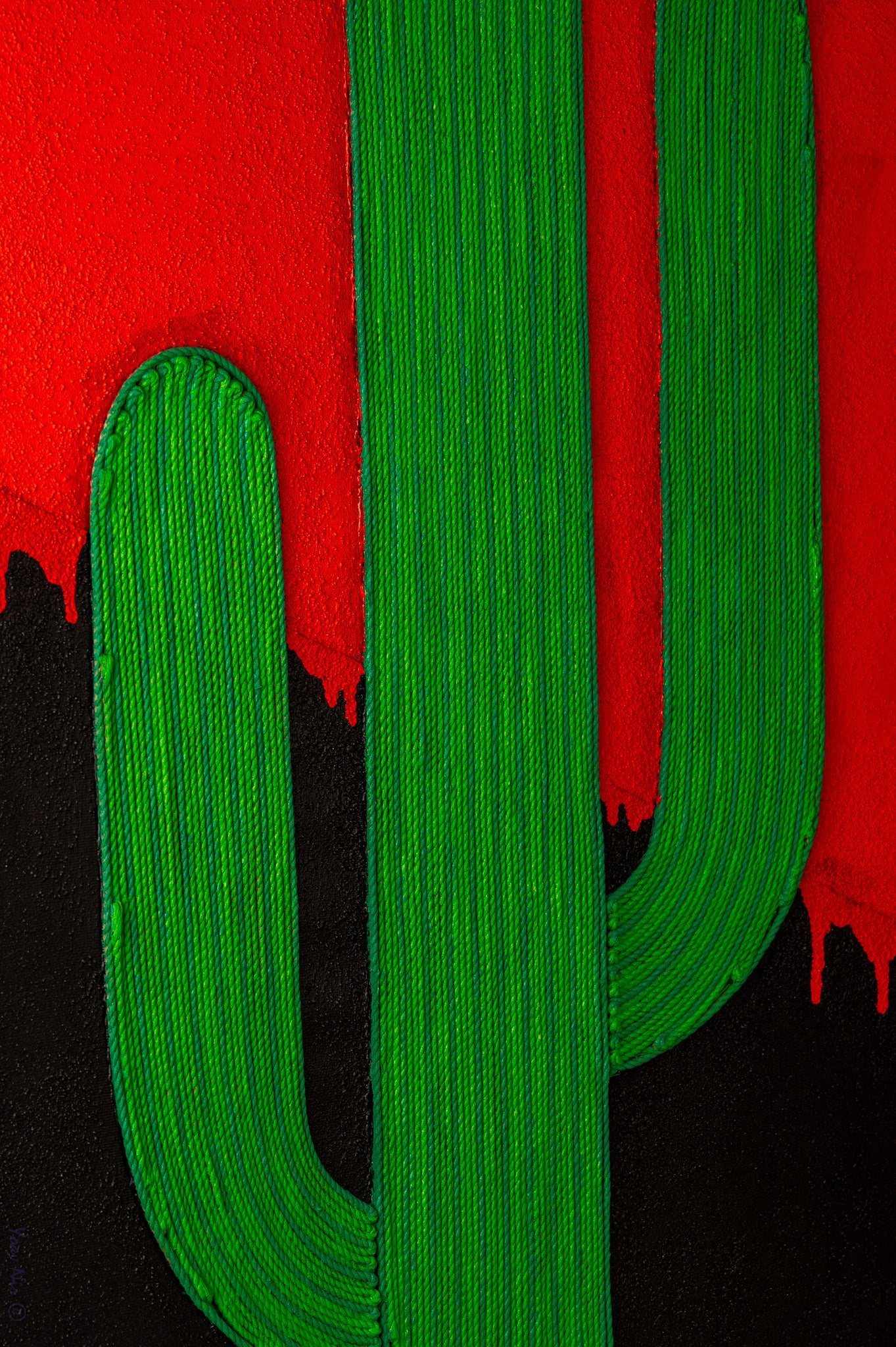 קקטוס במדבר